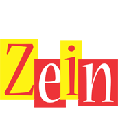 Zein errors logo