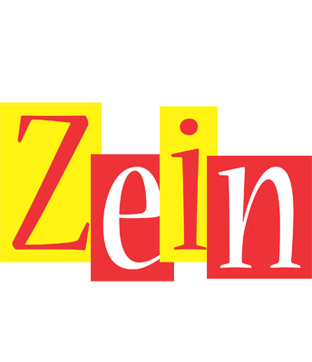 Zein errors logo