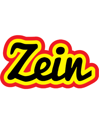Zein flaming logo