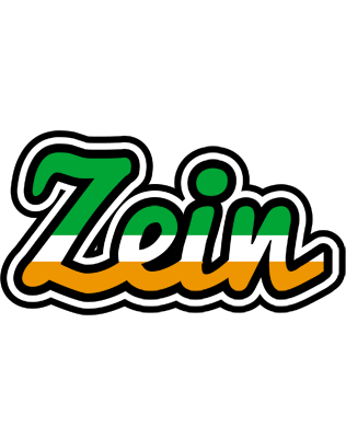 Zein ireland logo