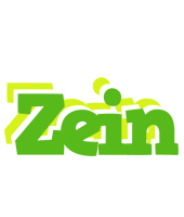 Zein picnic logo