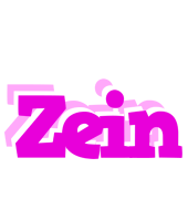 Zein rumba logo