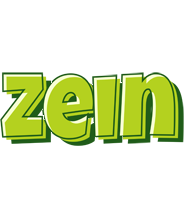 Zein summer logo