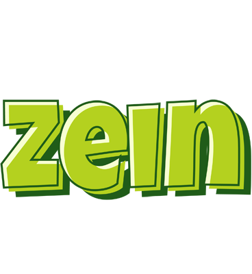 Zein summer logo