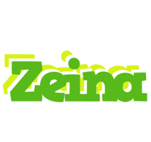 Zeina picnic logo