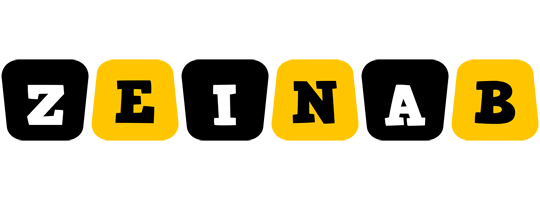 Zeinab boots logo