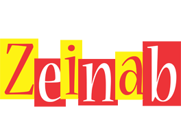 Zeinab errors logo