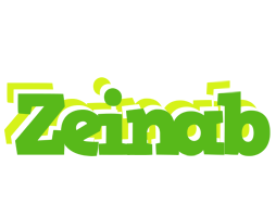 Zeinab picnic logo