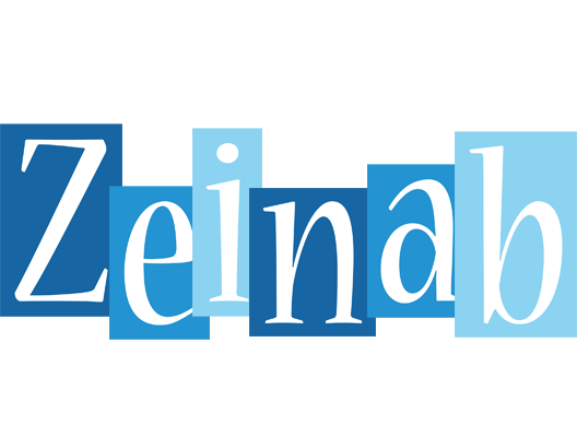 Zeinab winter logo