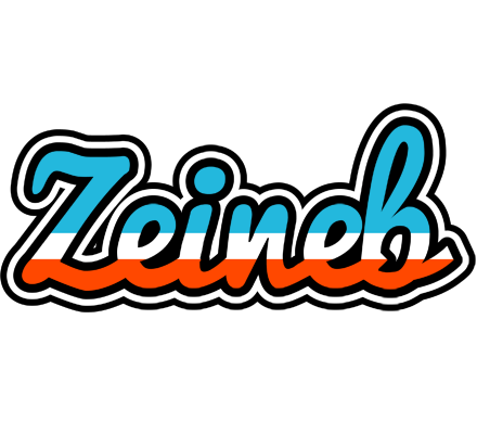 Zeineb america logo