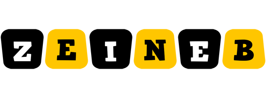 Zeineb boots logo