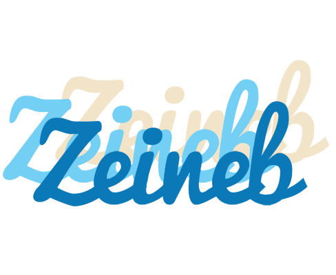 Zeineb breeze logo