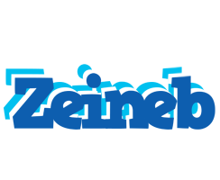Zeineb business logo