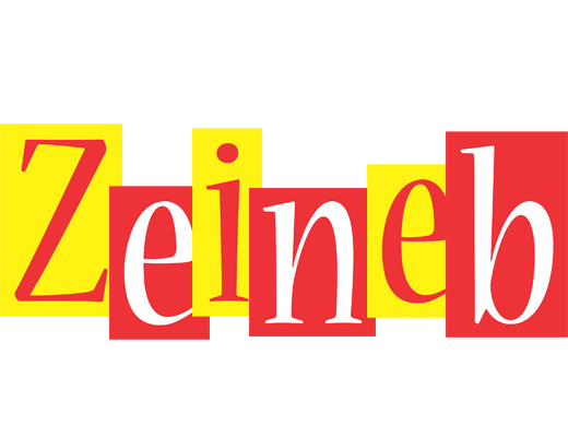 Zeineb errors logo