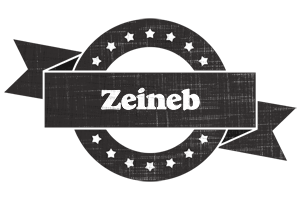 Zeineb grunge logo