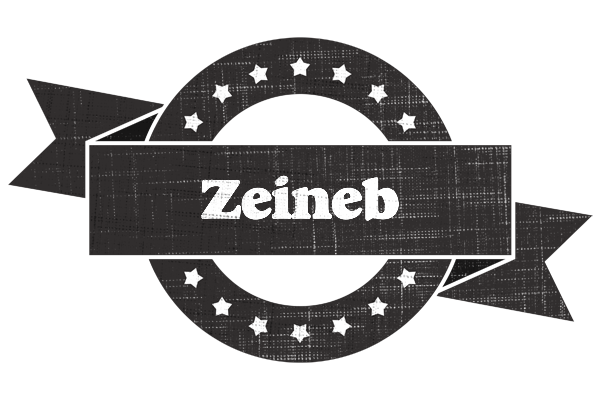 Zeineb grunge logo