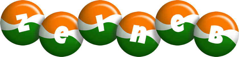 Zeineb india logo