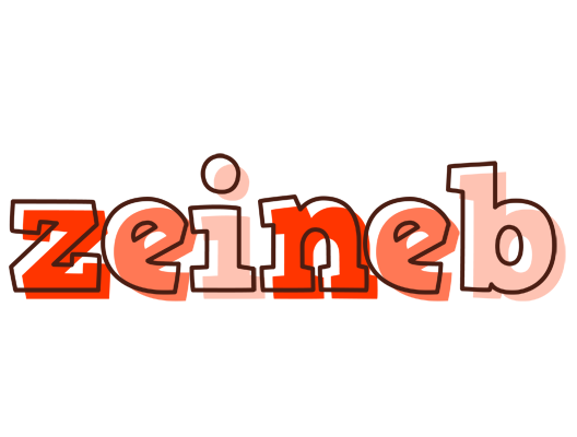 Zeineb paint logo