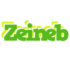 Zeineb picnic logo