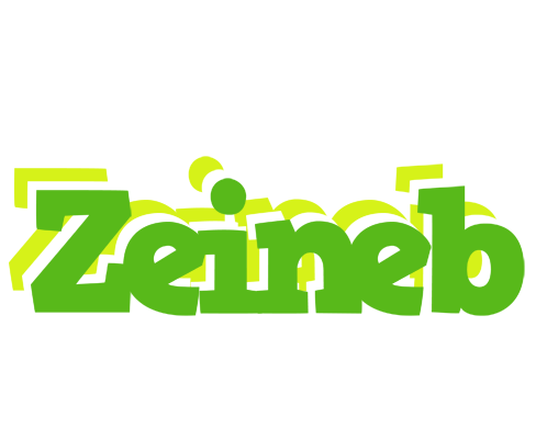 Zeineb picnic logo