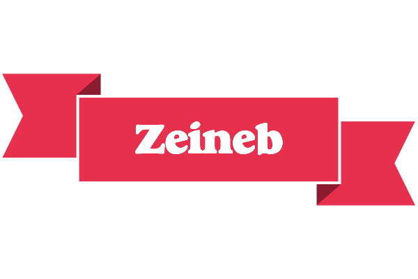 Zeineb sale logo