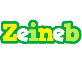Zeineb soccer logo