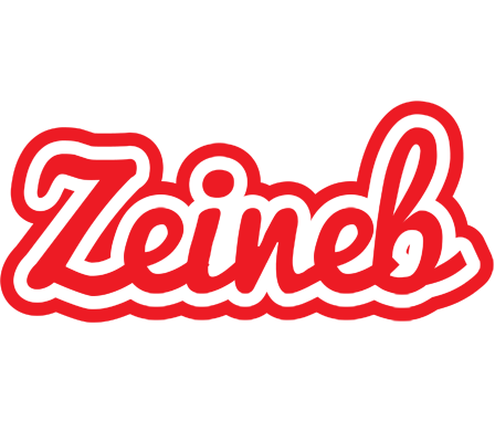 Zeineb sunshine logo