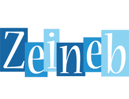 Zeineb winter logo