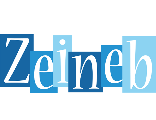 Zeineb winter logo