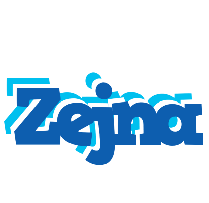 Zejna business logo