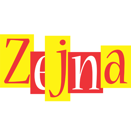 Zejna errors logo