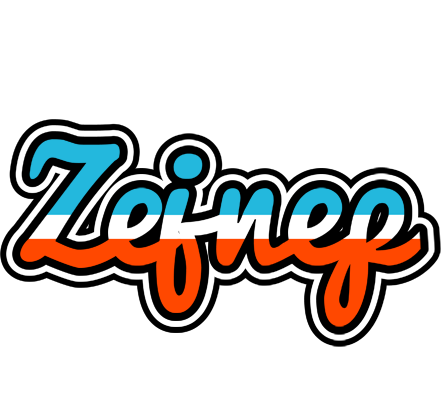 Zejnep america logo