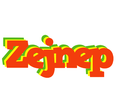 Zejnep bbq logo