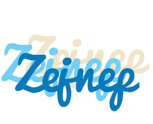 Zejnep breeze logo