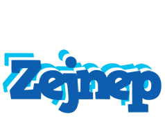 Zejnep business logo