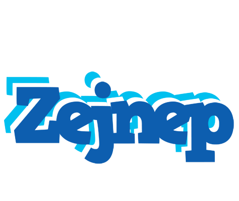 Zejnep business logo
