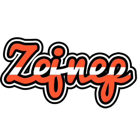 Zejnep denmark logo