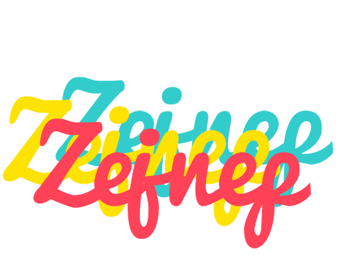 Zejnep disco logo