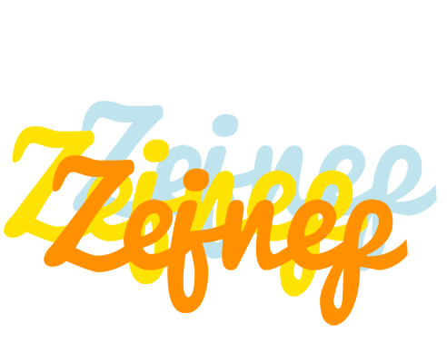 Zejnep energy logo