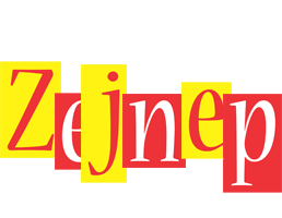 Zejnep errors logo