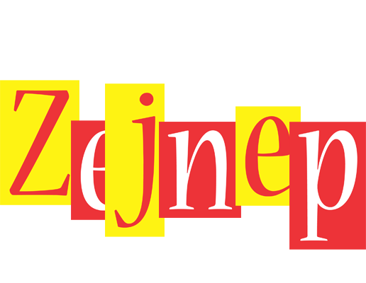 Zejnep errors logo