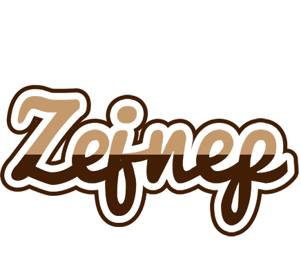 Zejnep exclusive logo
