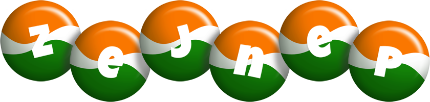 Zejnep india logo