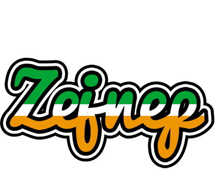 Zejnep ireland logo