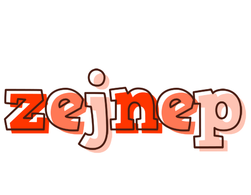 Zejnep paint logo