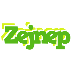 Zejnep picnic logo