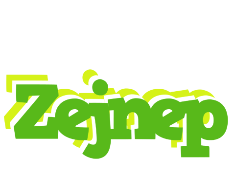 Zejnep picnic logo
