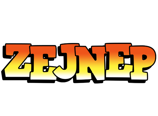 Zejnep sunset logo