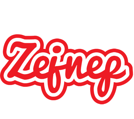 Zejnep sunshine logo