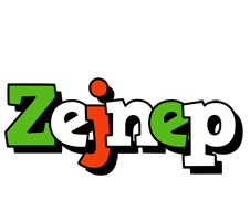 Zejnep venezia logo